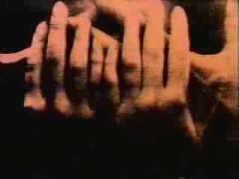 The Bog Video