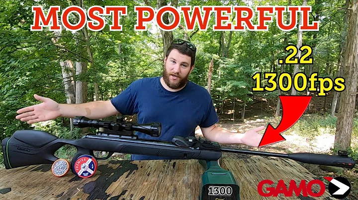 GAMO Magnum .22 10x Gen 2 worlds most powerful .22 pellet rifle.