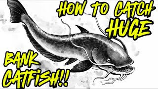 THIS Is HOW TO Catch HUGE Catfish From The Bank - Catfishing Tips