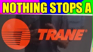 Famous Nothing stops a trane. Profile