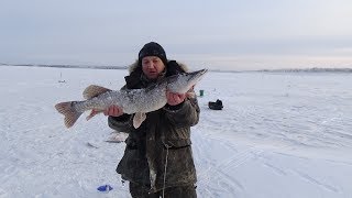 Зимняя жерлица. За трофейной щукой. Нижневартовск декабрь 2017.