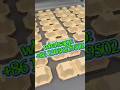 Bamboo Fiber 2-Cup Drink Tray | Strong, Odor-Free &amp; Factory Direct
