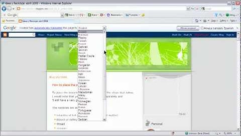 Translation bar   Web-browsing tools - Toolbar Help.flv