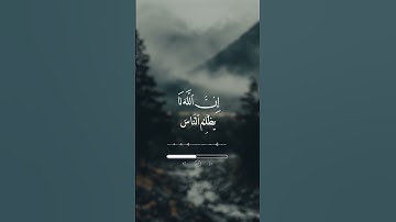 سورة يونس - سعد الغامدي #إسلاميات #اكسبلور #المدينة_المنورة #قرآن