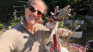 What I’m Planting In October In Zone 7 🧄🌷