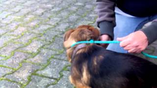 VID 20141104 143003