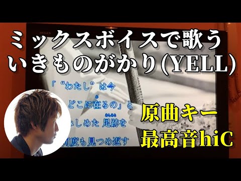 ミックスボイスでYEEL歌ってみた(カラオケで男がいきものがかり:原曲キー最高音hi C)