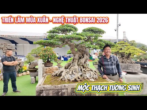 Cảm xúc của nghệ nhân đến từ Hải Phòng với tuyệt phẩm Mộc Thạch Tương Sinh 