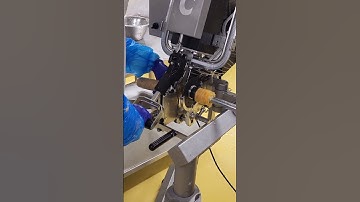 Sausage making machine in action #shorts