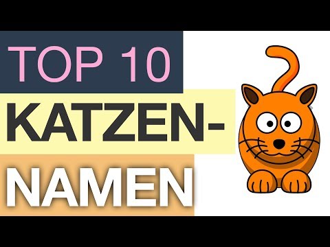 Top 10 Katzennamen Youtube
