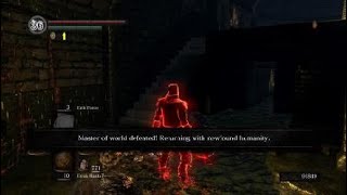 Protect Ur Host Next Time Lol Dark Souls Remastered20200516185219