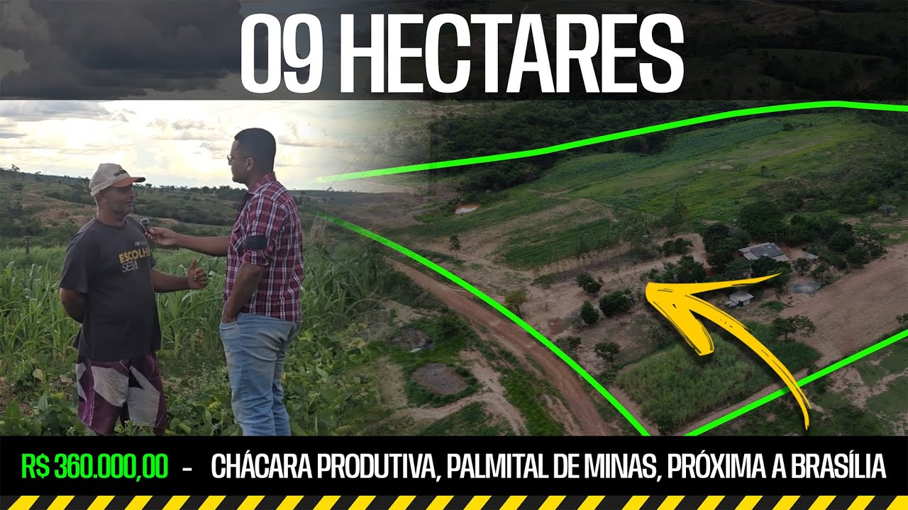 Chácara Produtiva | 9 Hectares | Palmital de Minas | R$ 360.000,00 | Próxima a Brasília