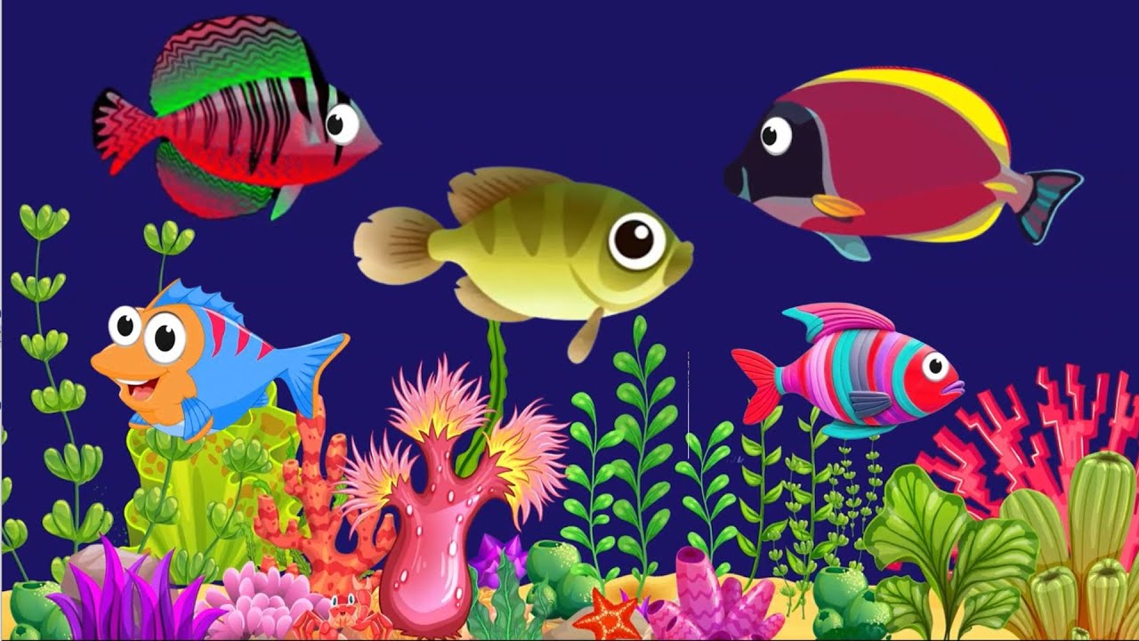 Fish lullaby  Bedtime lullaby & calming undersea  Fish aquarium  Baby sleep music 