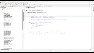 How many punctuation characters in Java given String presented by Dhakshana