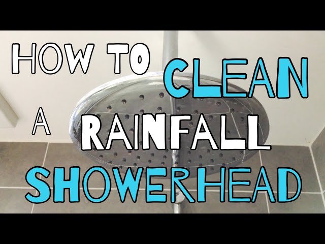 ☆ 2 Minute Tuesday: Easy Way to Clean & Disinfect Your Shower Head!!!☆ 