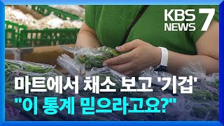 체감 물가 높은데 소비자물가는 25개월 만에 최저? / KBS  2023.08.02.