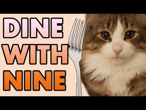 raw kangaroo bones for dogs