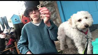 Still dog overlay video
