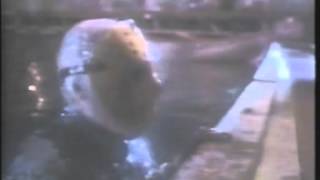 1991 Cinemax Friday The 13th Part 8 Commercial