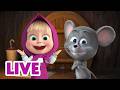 🔴 LIVE STREAM 🎬 Masha and the Bear 🐞🌳 Tiny Toes and Little Nose 🐭🐾