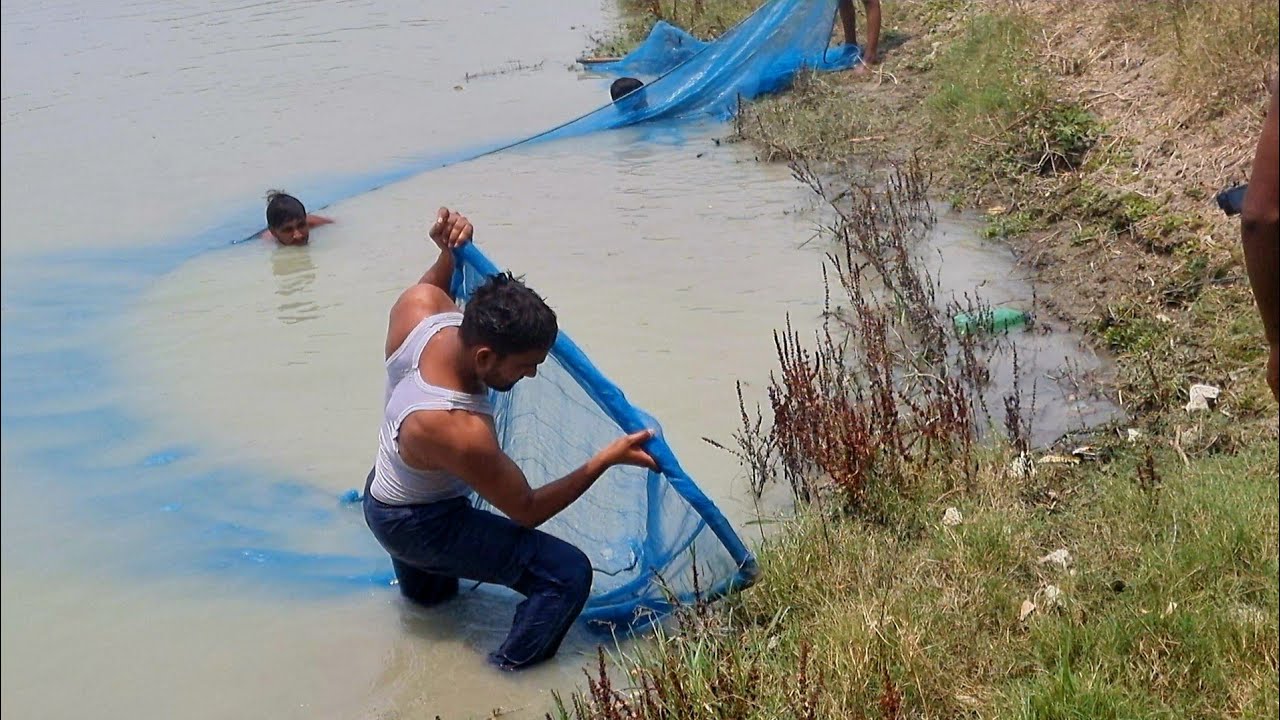 I caught a lot of fish with my fishing net today