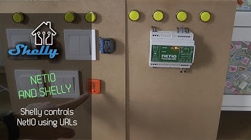 Control NetIO PowerDIN from a Shelly using URLs