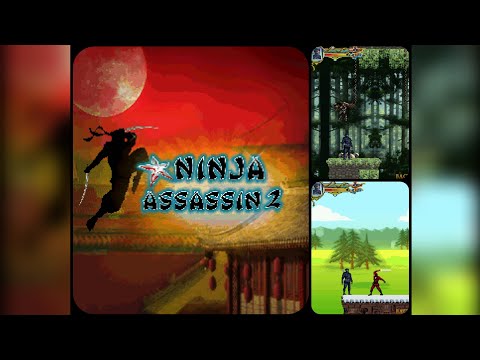 Ninja Assassin 2