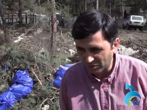 ბორჯომში სასაფლაოს ტერიტორია დღეს მუნიციპალიტეტის თანამშრომლებმა დაასუფთავეს