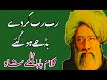 Rab Rab Karde Budhe Ho Gaye | Baba Bulleh Shah Heart Touching Kalam | Bulleh Shah Sufiana Shayari 🙏