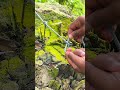 How to Tie a Strong Knot to a Nail | Simple &amp; Secure Rope Technique