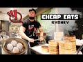 CHEAP EATS in the Suburbs of Sydney ft. CABRAMATTA Yum cha & Lebanese Food!