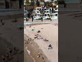 САМЫЙ БЛИЗКИЙ к морю дуплекс. Новострой с бассейном