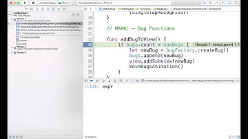 Common LLDB Commands: Part 2