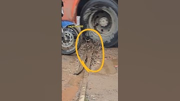 Railway Crossing loose and damaged due to rain. #line #track #rail #shorts