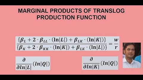 Marginal Products of Translog Production Function