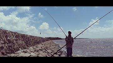 Điểm câu cá lý tưởng tại xã Lý Nhơn, nhìn là mê | Sông Nước Cần Giờ - Châu Huỳnh