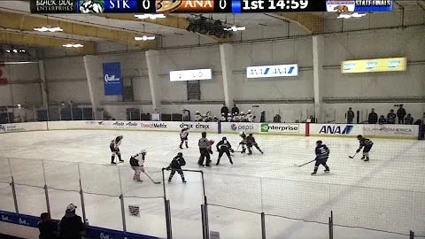 Stockton Colts Bantam B State Tournament Highlights