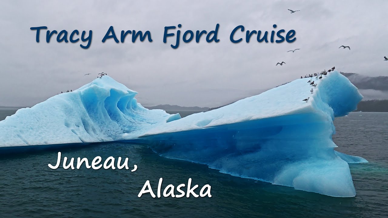 Complete Guide to the Tracy Arm Fjord Cruise, Juneau Alaska
