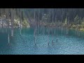 trees growing out of Lake in Kazakhstan