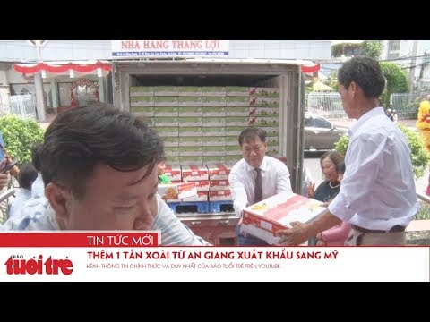 Video Thêm 1 tấn xoài từ An Giang xuất khẩu sang Mỹ - youtube