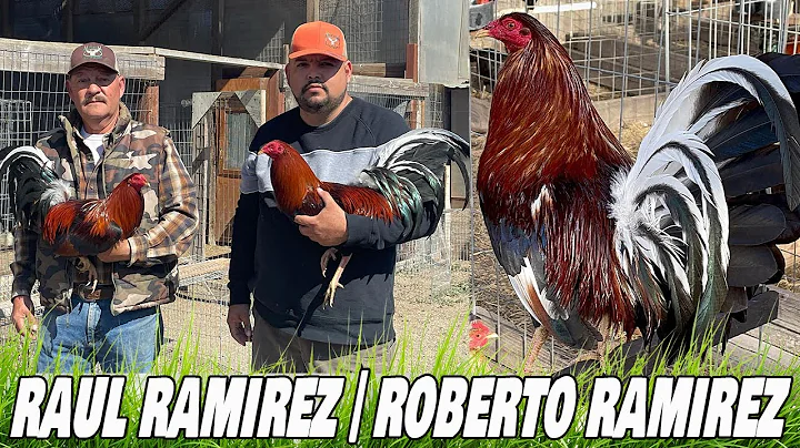 Roberto Ramirez Spring Grove Farm In California US...