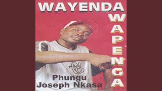 Wayende Wapenga