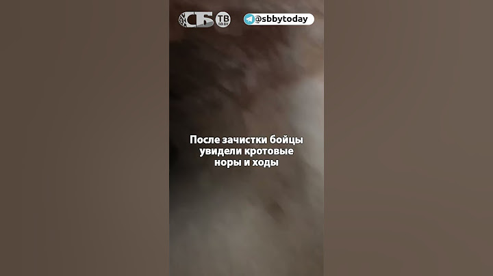 Как ВСУ выживают в норах при бомбежке? Русские штурмовики залезли в блиндаж украинцев