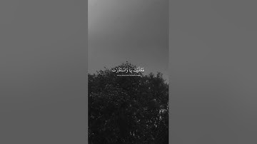 تلاوة هادئة للقارئ محمد هشام🤍