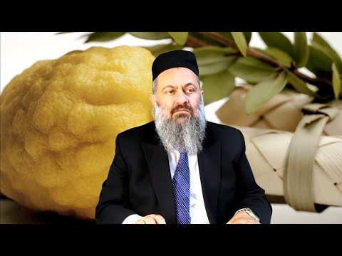 רבי יעקב גאגולשוילי שליט\"א | חג הסוכות | הושענא רבה რაბი იააკოვ გაგულაშვილი სუქოთი ოშაყანა |  რაბა