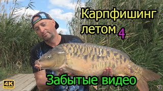 Карпфишинг летом 2019 август Забытые видео Фильм 4 4К