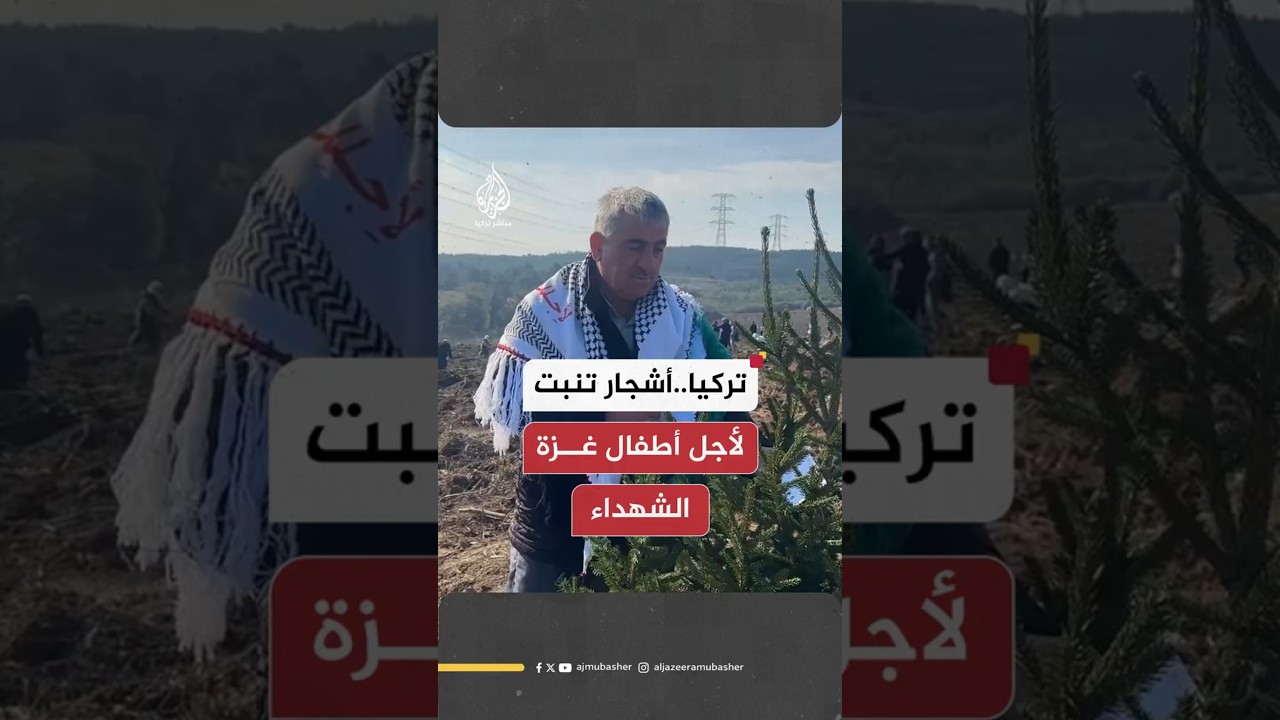 تركيا..أشجار تنبت لأجل أطفال غزة الشهداء