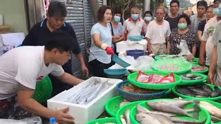 Taiwan Seafood Auction - Salmon, Milk Fish, Squid !