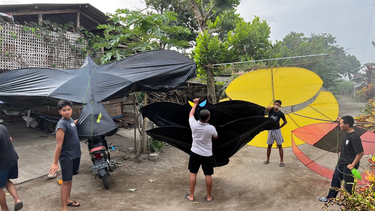ADU LAYANGA SIKEP 430 CC VS LAYANGAN GAPANGAN PEGON JUMBO