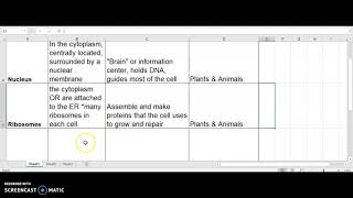 Going Over Organelle Locations and Functions